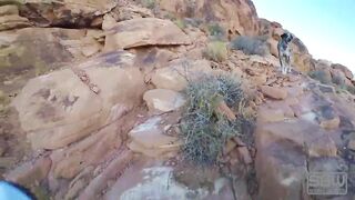 Outdoor Public Sex in Red Rock Canyon - 3 image