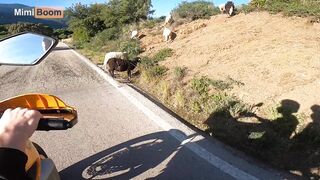 Sunny Day for a Motorcycle and a Sloppy Outdoor Mountain Blowjob near Gibraltar - Mimi Boom - 2 image