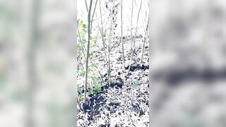Marathi devar fucks pooja bhabhi fiercely in cotton cultivation Full HD Video - 3 image