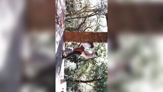 Sensual Outdoor Sex Gets Animalistic Before Couple Orgasm Together - 10 image