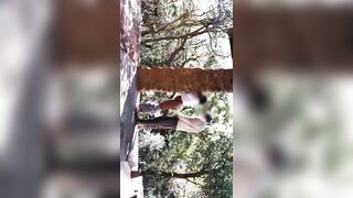 Sensual Outdoor Sex Gets Animalistic Before Couple Orgasm Together - 11 image