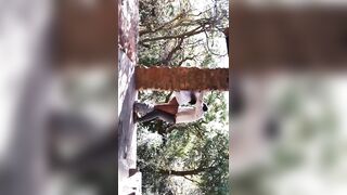 Sensual Outdoor Sex Gets Animalistic Before Couple Orgasm Together - 12 image