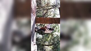 Sensual Outdoor Sex Gets Animalistic Before Couple Orgasm Together - 13 image