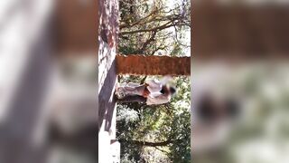 Sensual Outdoor Sex Gets Animalistic Before Couple Orgasm Together - 3 image
