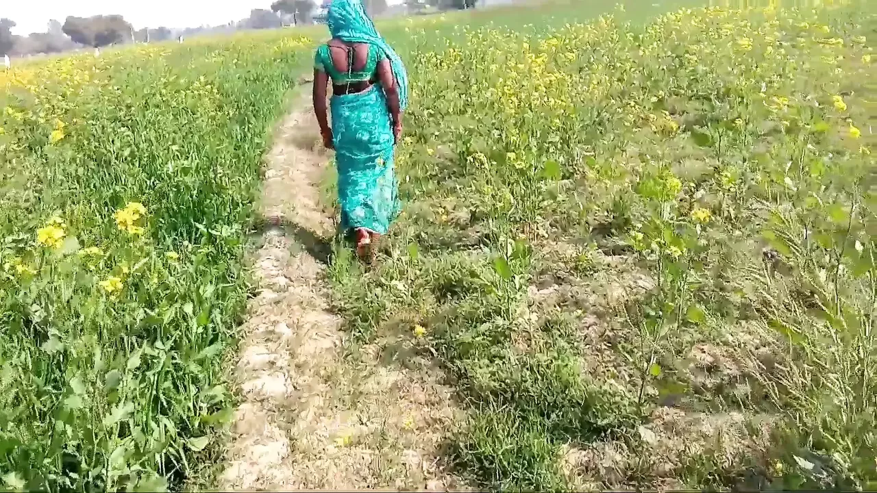 Indian field porn