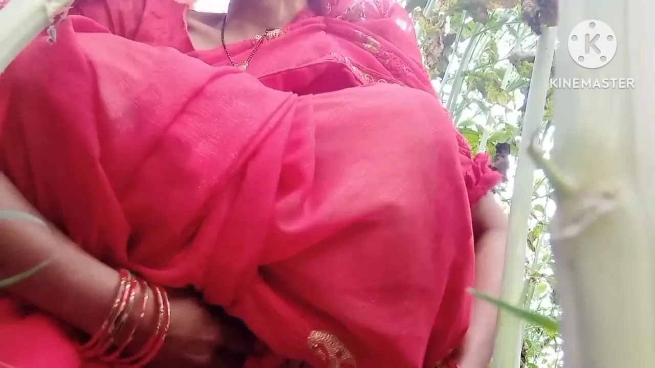 Kamal Bhabi In - Desi Ragini bhabhi sarson Ke Khet Mein outdoor sex watch online