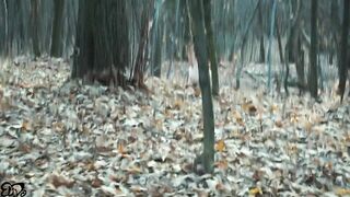 LITTLE FOX CAPTURED & FUCKED IN THE WOODS  - 3 image