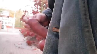 Flashing dick outdoors - 3 image