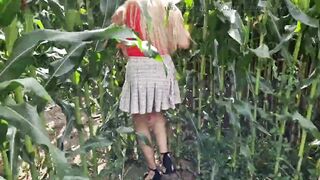 Back to the Cornfield - 7 image