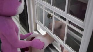 Furry bunny fucks the ass of brunette that got stuck on the Window - 3 image