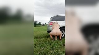 Outdoor dildo and car fuck in a field - 4 image