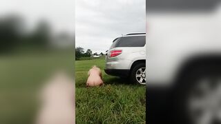 Outdoor dildo and car fuck in a field - 9 image