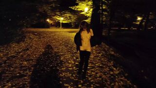 She flashing tits and undresses in a public park at night - 1 image