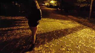 She flashing tits and undresses in a public park at night - 7 image