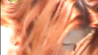 A slim redhead slut from Germany fucking with two dudes - 13 image