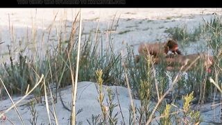 Couple Caught on Camera Having Sex on the Beach - 10 image