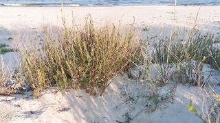 Couple Caught on Camera Having Sex on the Beach - 2 image