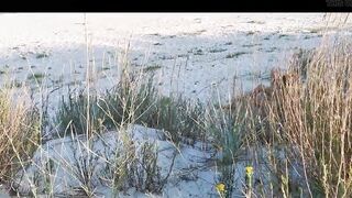 Couple Caught on Camera Having Sex on the Beach - 5 image