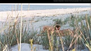 Couple Caught on Camera Having Sex on the Beach - 7 image