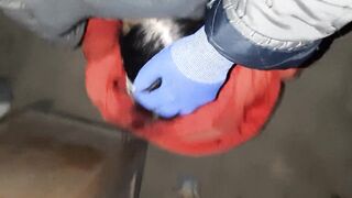 Before robbing someone else's house, we decided to have sex - Lesbian-illusion - 11 image