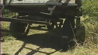 Two Field Workers Fuck Their Asses and a Babe Pussy Outdoor on the Tractor - 2 image