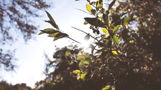 OUTDOOR - Hipster gf gets off in the woods. - 2 image