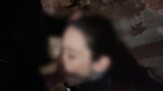 Risky Dogging Sex in Public - 5 image