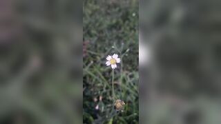 Outdoor school girl fock with boyfriend - 1 image