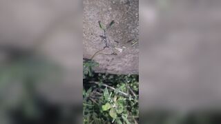 Outdoor school girl fock with boyfriend