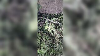 Outdoor school girl fock with boyfriend - 11 image