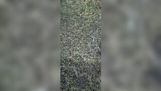 Outdoor school girl fock with boyfriend - 12 image