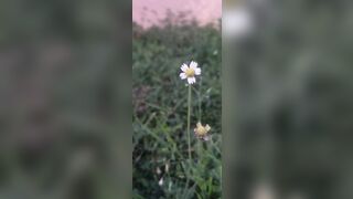 Outdoor school girl fock with boyfriend - 14 image