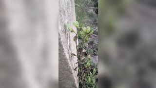 Outdoor school girl fock with boyfriend - 4 image