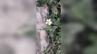 Outdoor school girl fock with boyfriend - 8 image