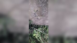 Outdoor school girl fock with boyfriend - 9 image