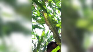 Naked fun in the cornfield with cobs - 3 image