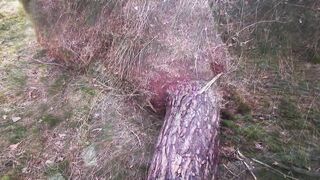 Happy Titslapping in the woods and parking lot - 7 image