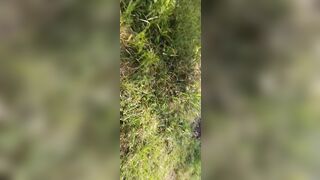MATEUR BLOWJOB OUTDOORS, CUM ON THE MOUTH AND FACE.. CUMSHOT ON FACE - 5 image