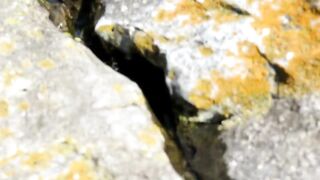 Just an ordinary day at the beach - 6 image