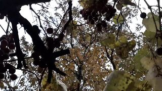 Our autumn romantic sex in a hut - Lesbian-illusion - 3 image