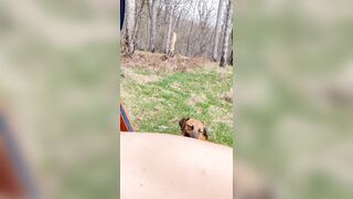 We love to play in public - 3 image