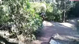 Mel the Personal Trainer - 11 image