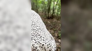 Into the Woods with a Skank a Creampie for a Jackson - 7 image