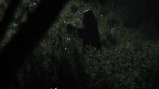 A wild night in the wild - 2 image