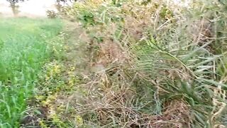 Ritu came to her elder stepsister's place, walking on the fields on the pretext of full Hindi audio x video - 3 image