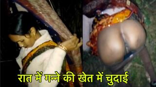 desi bhabhi ko ganne ki khet me rat me chudai kiya