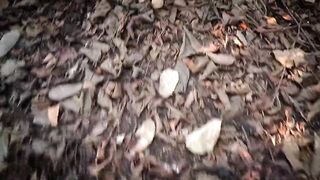 Hot Bhabhi Ji Caught By Father-in-Law While Mugling In The Jungle Indian Desi Outdoor Sex Video - 2 image
