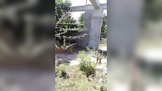 A stranger watched me masturbate in the park, then took me to a construction site and fucked me - 6 image