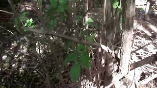 Curly babe gets both holes fucked by huge cocks - 2 image