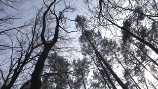 Beautiful Wannabes Get Fucked On Camera Part #3 - Amateurs - 6 image